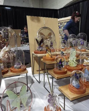 Oddities and Curiosities Expo Tulsa