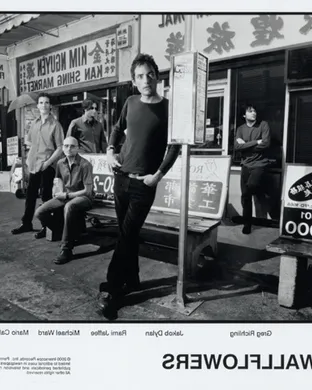 The Wallflowers Tulsa